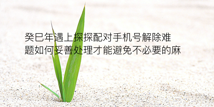 姓名生辰八字配对游戏截图