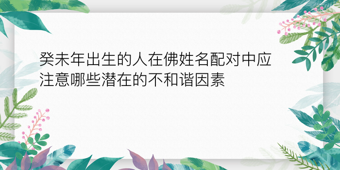 癸未年出生的人在佛姓名配对中应注意哪些潜在的不和谐因素