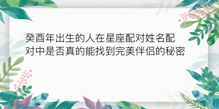 癸酉年出生的人在星座配对姓名配对中是否真的能找到完美伴侣的秘密