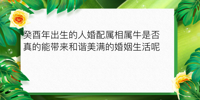 癸酉年出生的人婚配属相属牛是否真的能带来和谐美满的婚姻生活呢