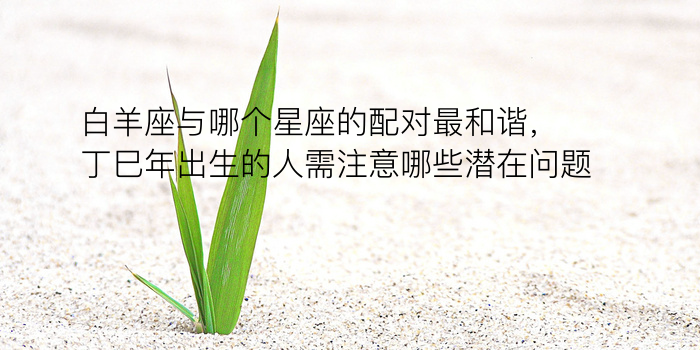 计算车牌号吉凶游戏截图