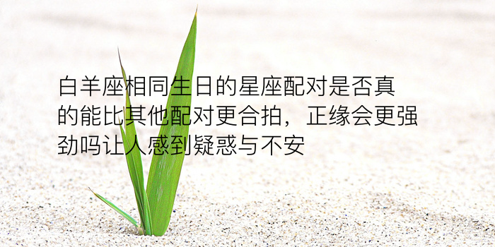 兔龙属相婚配游戏截图