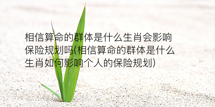 鼠年本命年游戏截图