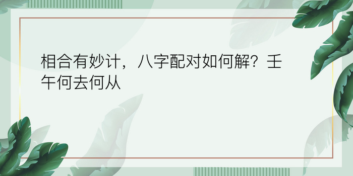 相合有妙计，八字配对如何解？壬午何去何从