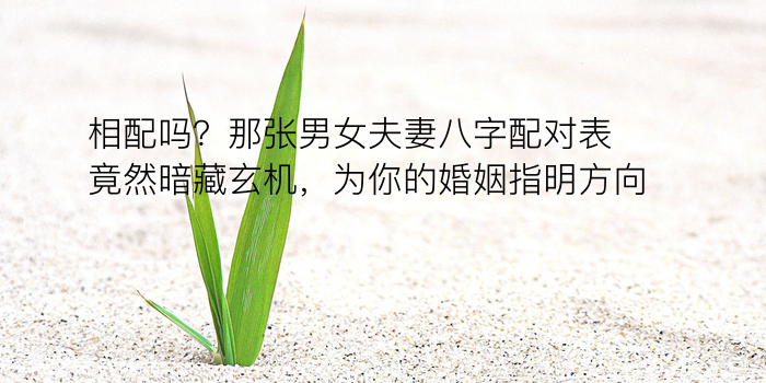 生肖八字配对游戏截图