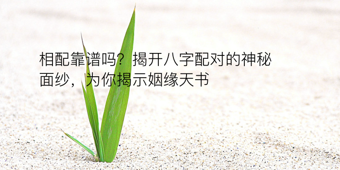 八字称骨算命游戏截图