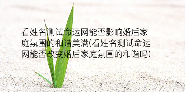 姓名测试网游戏截图