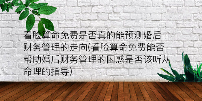 名字免费算命游戏截图