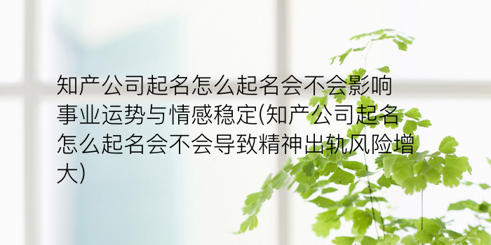 知产公司起名怎么起名会不会影响事业运势与情感稳定(知产公司起名怎么起名会不会导致精神出轨风险增大)