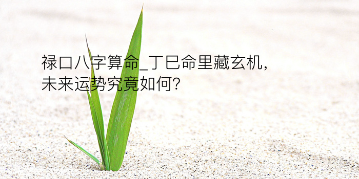 禄口八字算命_丁巳命里藏玄机，未来运势究竟如何？