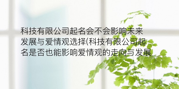 科技有限公司起名会不会影响未来发展与爱情观选择(科技有限公司起名是否也能影响爱情观的走向与发展)