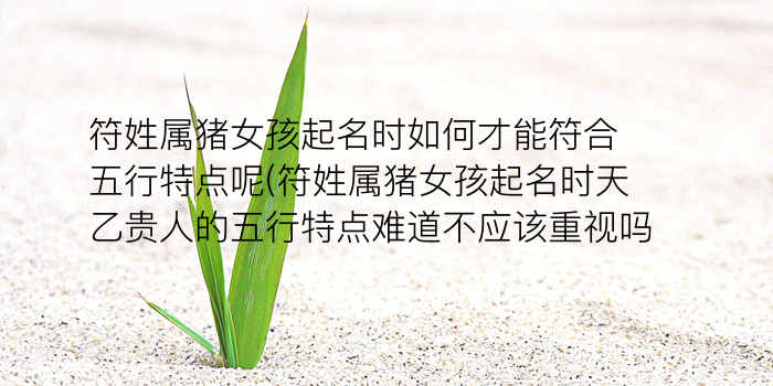 男孩芮字起名游戏截图