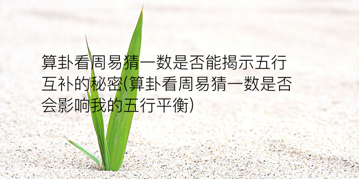 称骨算命表免费游戏截图