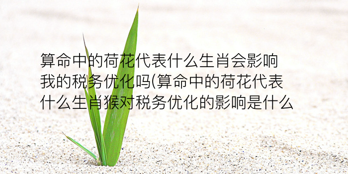 生肖马明日运势游戏截图