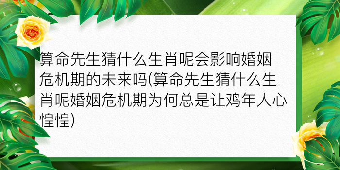 生肖羊12月运势游戏截图