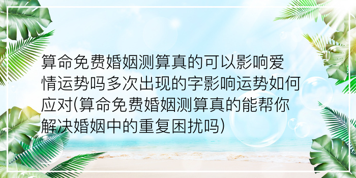 免费大师算命游戏截图