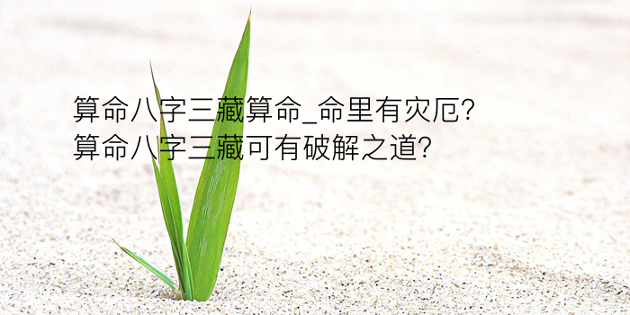 八字逐月运程游戏截图