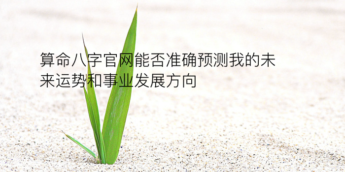 生辰八字怎么算命游戏截图