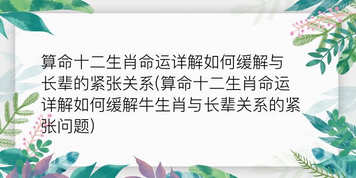 二零二算运网