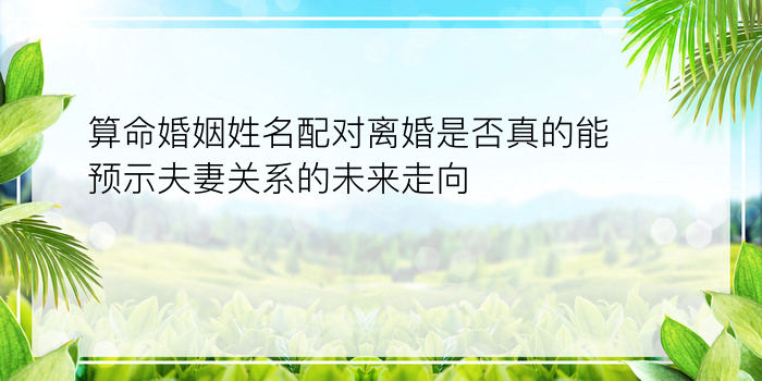 算命婚姻姓名配对离婚是否真的能预示夫妻关系的未来走向