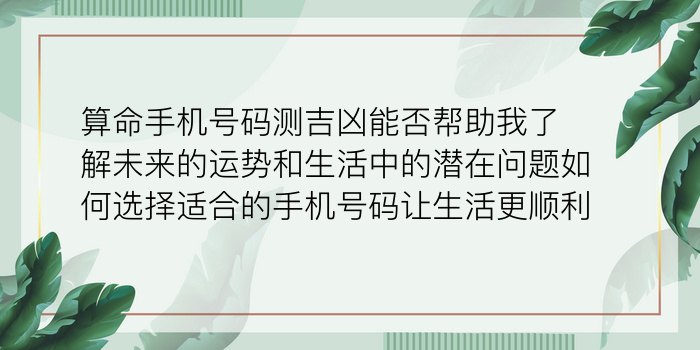 车牌号码吉凶测试最准游戏截图