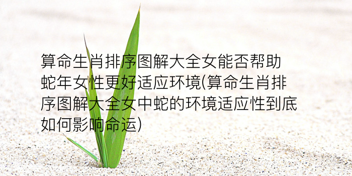 生肖运势不准游戏截图