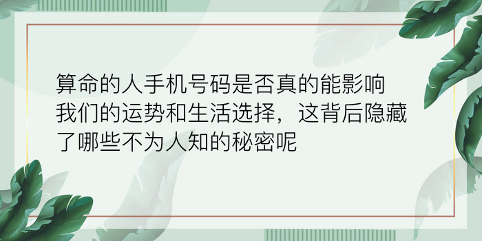 算命的人手机号码是否真的能影响我们的运势和生活选择，这背后隐藏了哪些不为人知的秘密呢