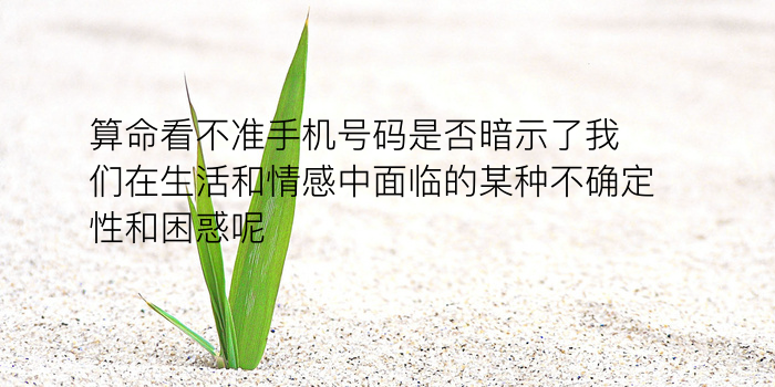 星座配对测试游戏截图