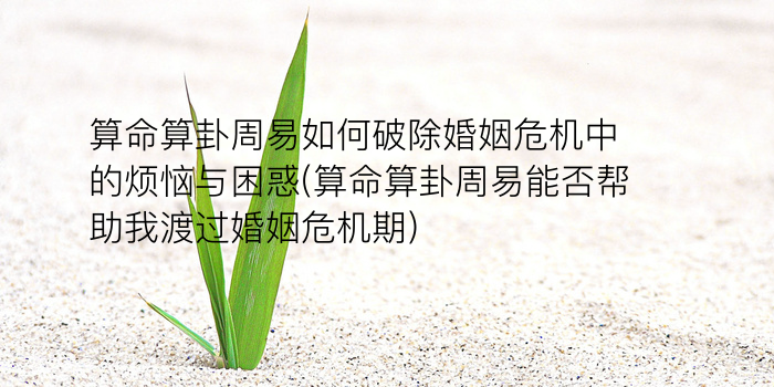 测字诸葛游戏截图