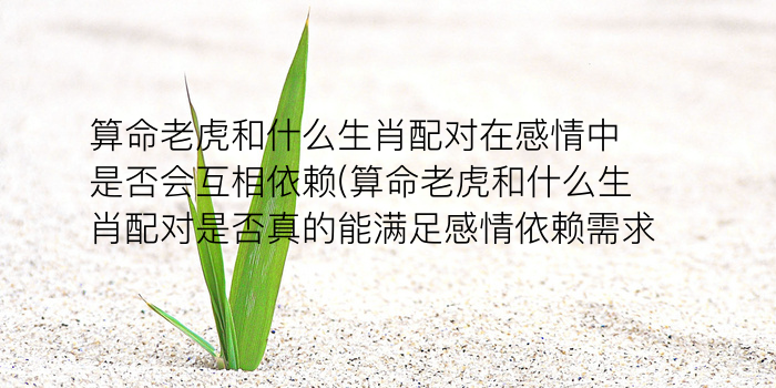 犯太岁几年一次游戏截图