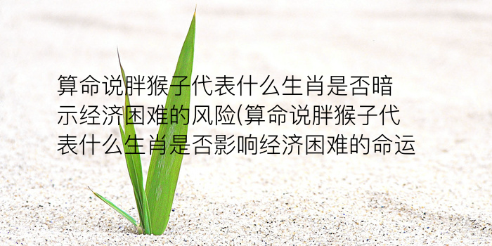 属虎的哪年犯太岁游戏截图