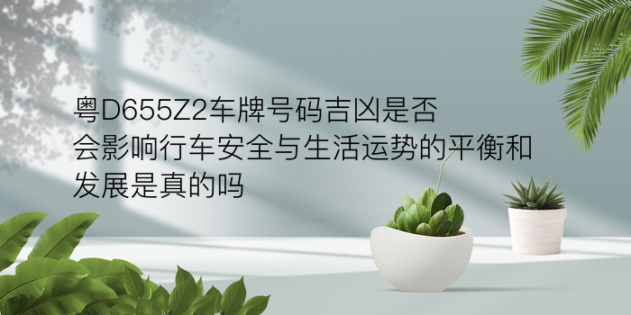 生肖配对龙游戏截图