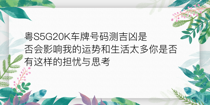 二零二算运网