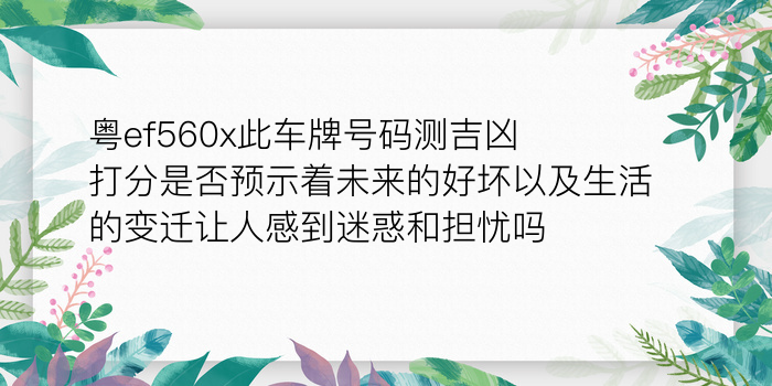 狗配对生肖游戏截图