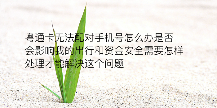 苹果手机号配对手表游戏截图