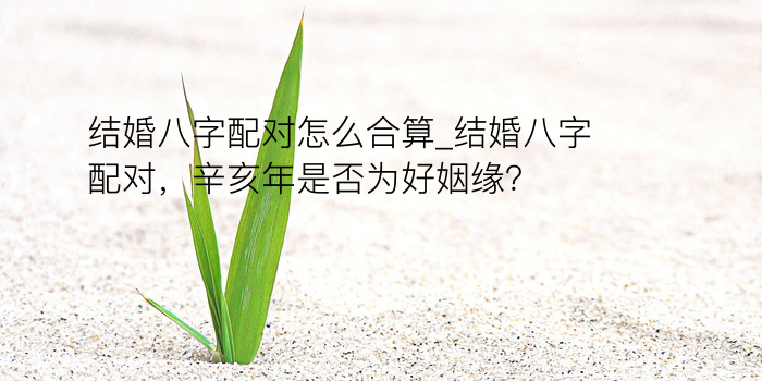 盘锦八字算命游戏截图