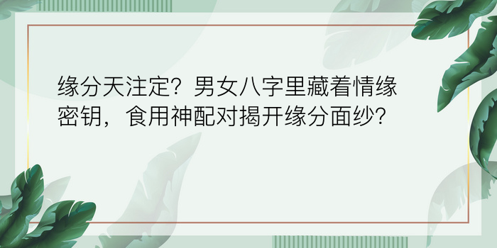 生辰八字五行取名查询游戏截图