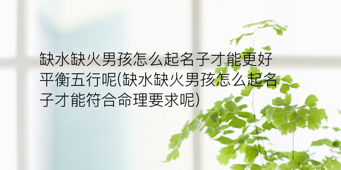 郭起名男孩游戏截图