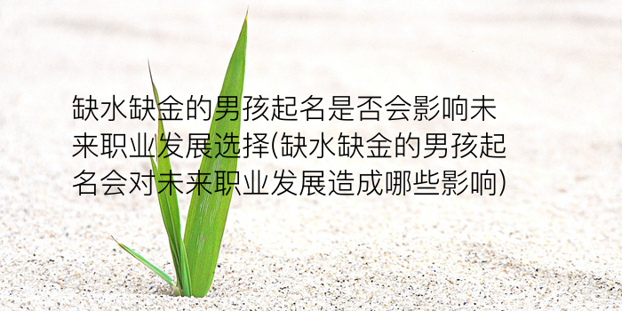 马年男宝宝起名游戏截图