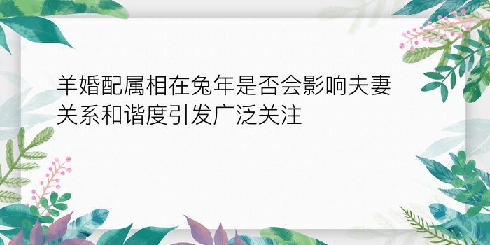 羊婚配属相在兔年是否会影响夫妻关系和谐度引发广泛关注