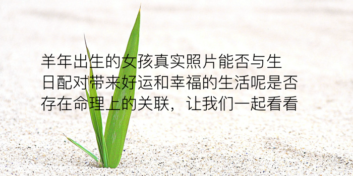 车牌选号吉凶游戏截图