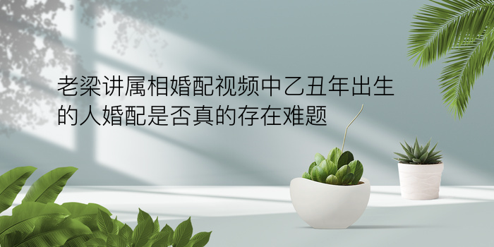 生辰八字姓名配对游戏截图