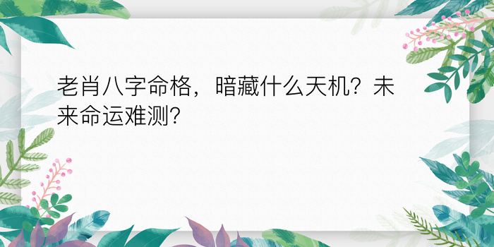 老肖八字命格，暗藏什么天机？未来命运难测？