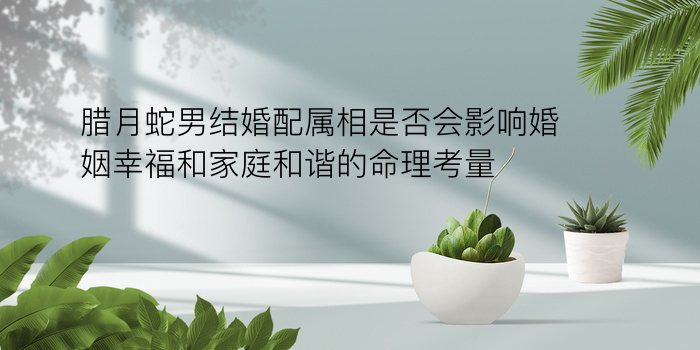 灵机八字算命风水游戏截图