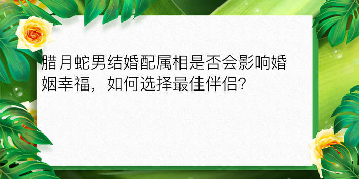 腊月蛇男结婚配属相是否会影响婚姻幸福，如何选择最佳伴侣？