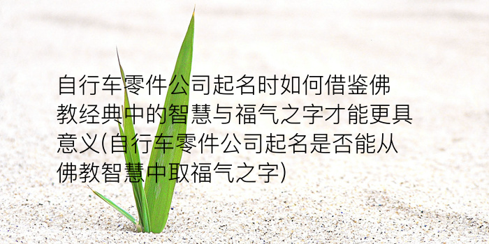 起名公司大全游戏截图