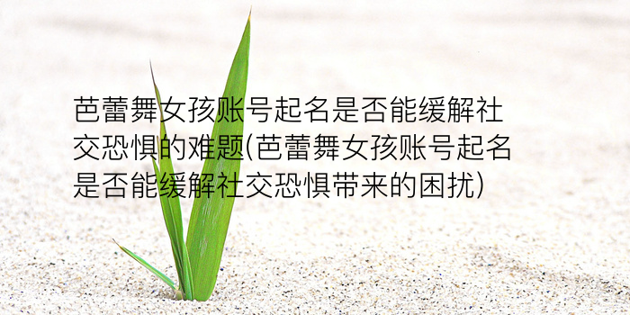 沈会同名同姓游戏截图