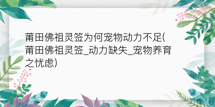 莆田佛祖灵签为何宠物动力不足(莆田佛祖灵签_动力缺失_宠物养育之忧虑)