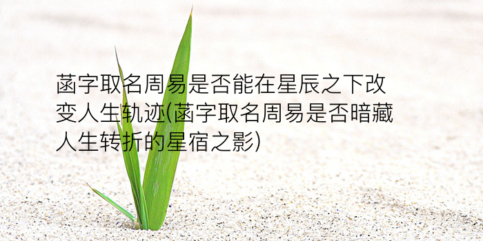 周易取名公司取名游戏截图