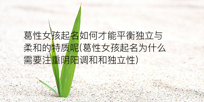 徐宝宝起名游戏截图